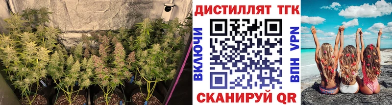 Купить  Семилуки  ТГК THC oil 